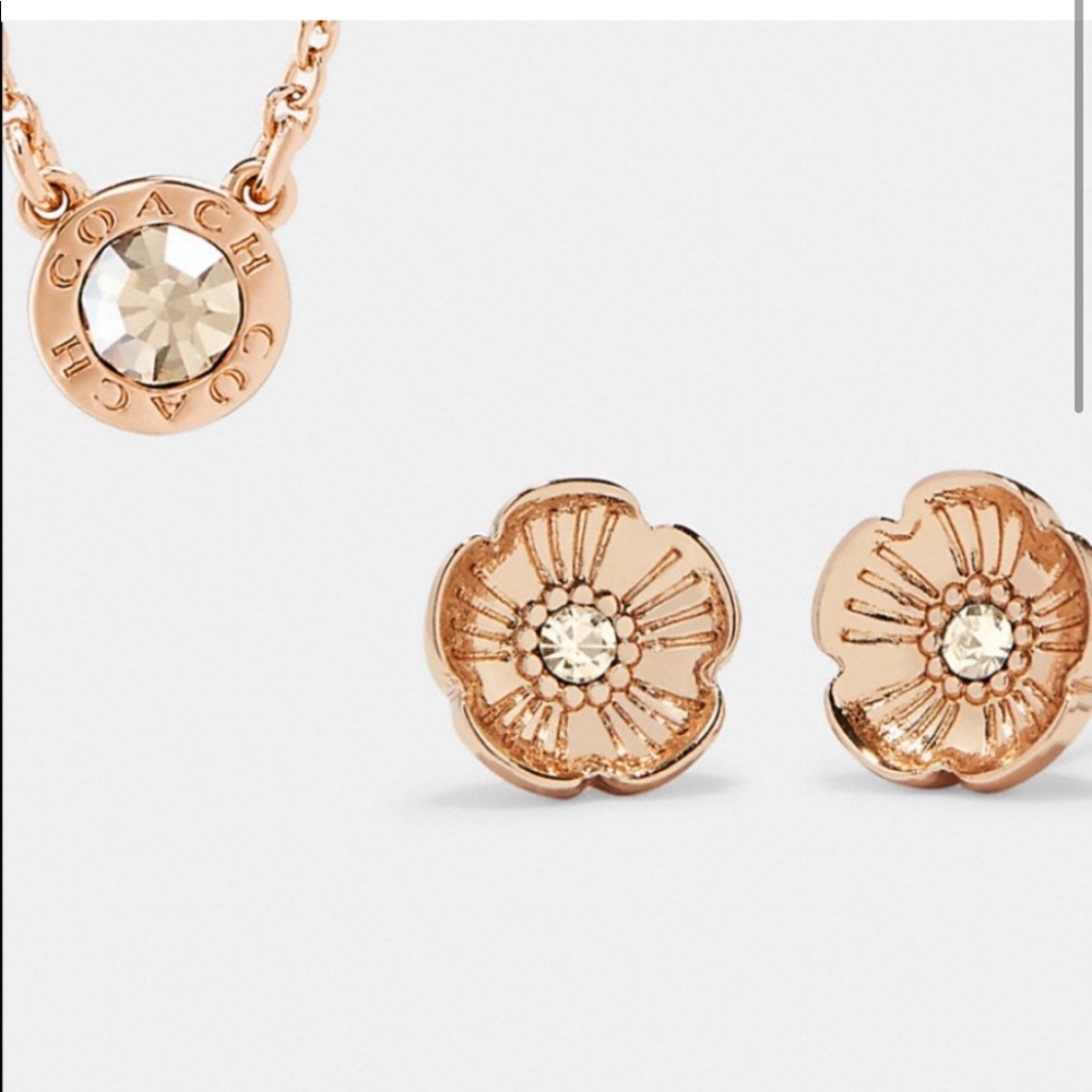 COACH Round Circle Necklace and Tea Rose Stud Earrings Set - Picture 2 of 14